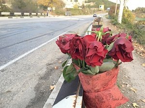 На месте трагического ДТП в поселке Верхнесадовое под Севастополем установили светофор