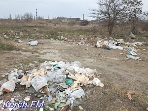 Керчане жалуются на свалку мусора по дороге на Змеинку