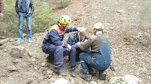 Спасатели пришли на помощь грибнику, упавшему с высоты 20 метров в балку на южном склоне горы Сандык