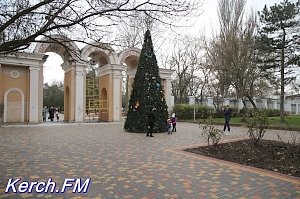 Керчанам предлагают украсить елку в Молодежном парке самодельными игрушками