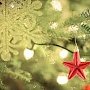 Керчан приглашают украсить новогоднюю елку в обновлённом Молодёжном парке