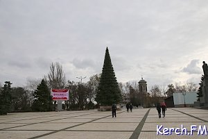 В Керчи собрали главную новогоднюю елку города