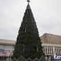 В Керчи новогоднюю елку перед ДК «Корабел» уже зажгли