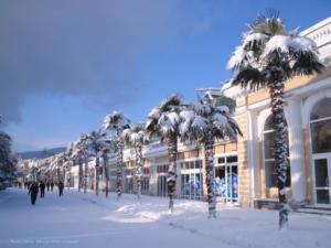 На следующей неделе в Ялте выпадет первый снег