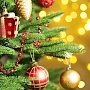 В МЧС Керчи сообщили, как правильно устанавливать новогоднюю елку в помещении