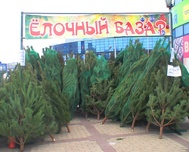 22 декабря в столице Крыма начнут работу елочные базары