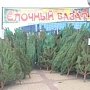 22 декабря в столице Крыма начнут работу елочные базары