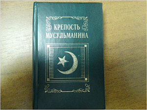 Пограничники не пропустили в Крым украинца с экстремистской литературой