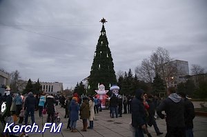 В Аршинцево зажгли огни на новогодней елке