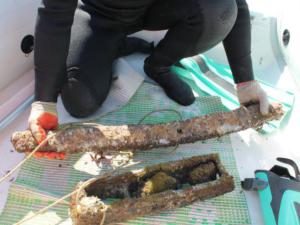 В «Херсонесе Таврическом» откроется долгожданная выставка отдела подводной археологии