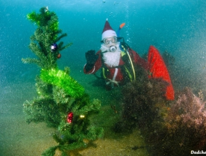 На дне Чёрного моря установили новогоднюю елку