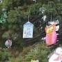 11-метровый секвойядендрон в Никитском ботаническом саду украсили игрушками ручной работы