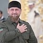 Кадыров: Спокойно отношусь к мышиной возне
