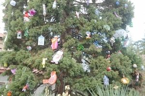 В Никитском саду секвойядендрон украсили детскими игрушками ручной работы