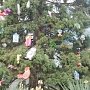 В Никитском саду секвойядендрон украсили детскими игрушками ручной работы