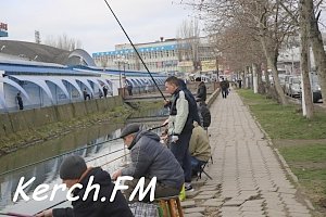 В Керчи на речке массово ловят рыбу