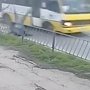 В Севастополе маршрутка сбила пешехода на «зебре»