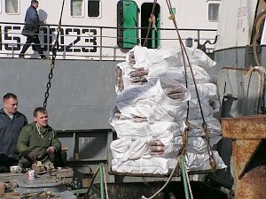 Крымские рыбаки поймали в дважды больше хамсы, чем в прошлом году