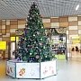 Аэропорт «Симферополь» в новогодние праздники обслужил более 100 000 пассажиров