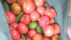 В Крым вновь незаконно пробовали ввезти 47 кг овощей и 52 кг фруктов