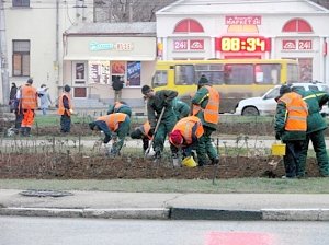 Тюльпаны начали высаживать в январе