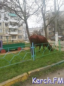 В Керчи по Аршинцево гуляют бесхозные коровы