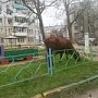 В Керчи по Аршинцево гуляют бесхозные коровы