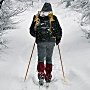 Кому лучше всего подходит такая разновидность зимнего фитнеса, как скандинавская ходьба?