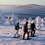 Как правильно в зимний период заниматься таким видом спорта, как скандинавская ходьба?