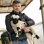 Валлийская овечка Бусинка появилась в бахчисарайском зоопарке
