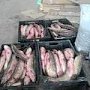В Керчи опять сожгли 190 кг бесхозной рыбы