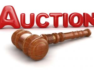 В Крыму состоялись аукционы по продаже государственного имущества