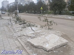 В Керчи водоканал посадил деревья в яму на автобусной остановке