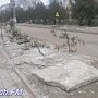 В Керчи водоканал посадил деревья в яму на автобусной остановке