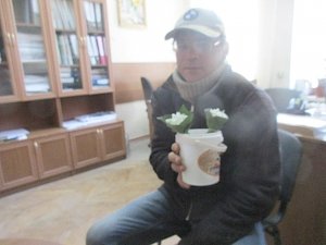 Алуштинец планировал заработать на продаже подснежников 45 тыс рублей