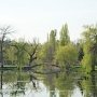 Чистка пруда в симферопольском парке будет вестись до конца года