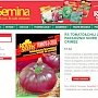Словенцы снабжают страны ЕС семенами помидоров из русского Крыма