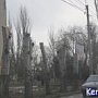 На Кирова в Керчи спилили десять тополей