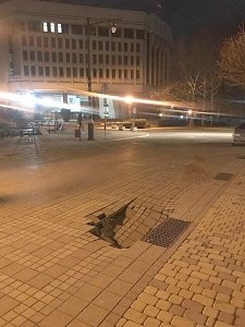 Администрация столице Крыма пообещала в течение семи дней устранить яму в центре города