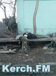 В Керчи мужчина, который спит на трубах, вычистил парк от мусора и зарослей