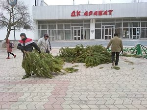Новогодние сосны из Щелкино отдали животным в «Тайган»