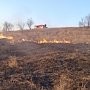 В Крыму сгорело почти 2,5 тысячи квадратных метра сухостроя