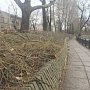 Более полутысячи зелёных насаждений в столице Крыма подлежат уничтожению, — администрация