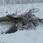 В крушении самолета под Москвой не выжил никто