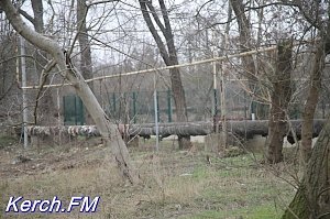 Ещё в одном районе Керчи отопительные трубы – частично голые