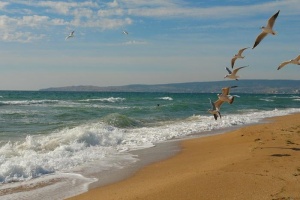 Пляжей в Крыму станет на шесть десятков больше