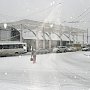 В Севастополе опять транспортный коллапс из-за снегопада