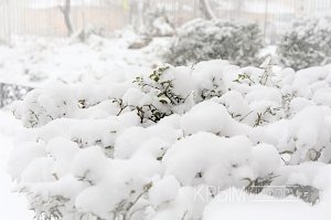 Восемь сантиметров снега выпало в столице Крыма – гидрометцентр