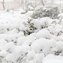 Восемь сантиметров снега выпало в столице Крыма – гидрометцентр