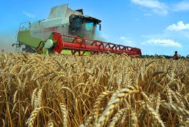 В НИИ сельского хозяйства Крыма представили инновационные технологии в аграрной сфере